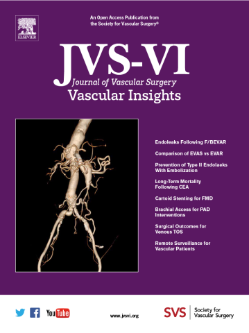 JVS-VI Cover