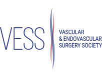 VESS logo