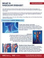 thumbnail of what is vascular disease flier