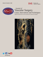 Cover of JVS Cases