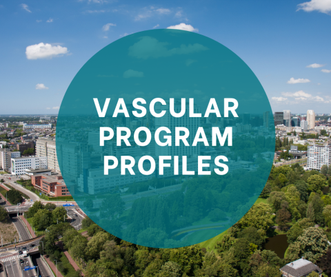 Vascular Program Profiles