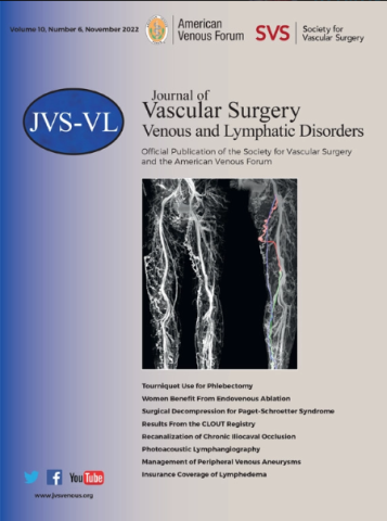 JVS-VL Cover for November 2022