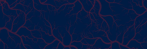Veins on blue background