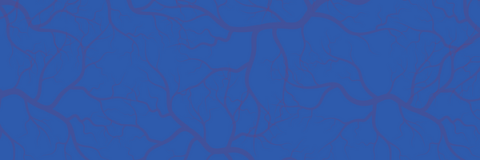 Veins on blue background