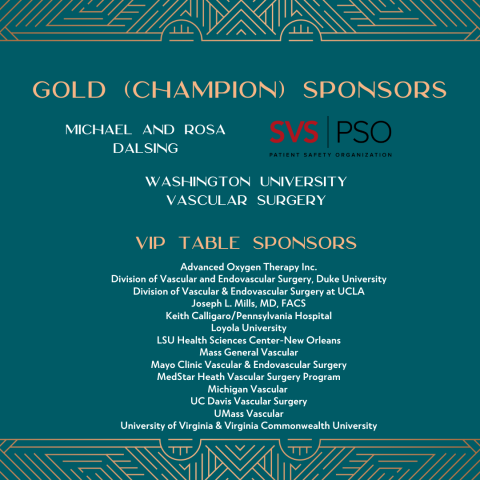 Champion and VIP Sponsors