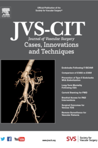 JVS-CIT Cover