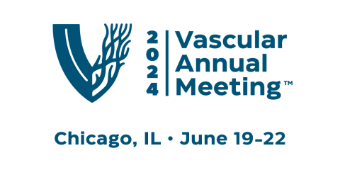 VAM24: June 19-22 in Chicago, Ill.