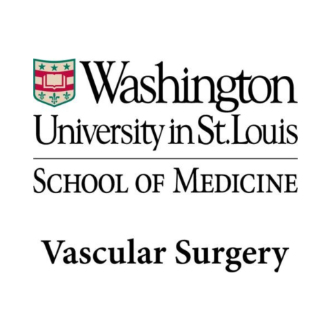 Washington University in St. Louis Vascular Surgery