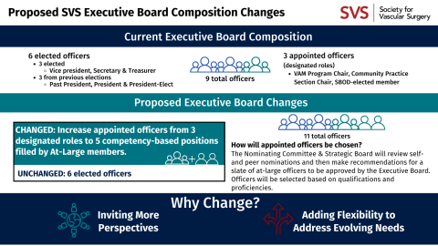 Bylaws Change Infographic