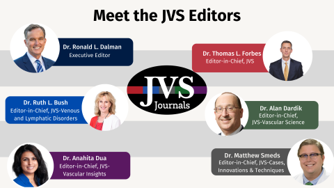 Meet the JVS Editors in Chief