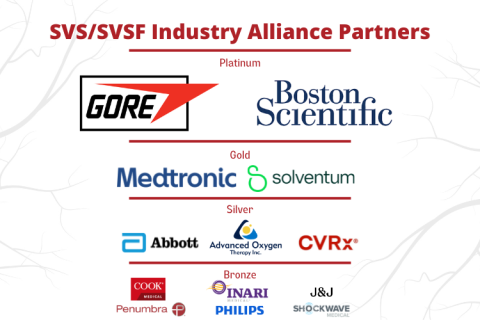 SVS Industry Alliance Partners