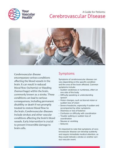 Cerebrovascular Disease Image of Flyer