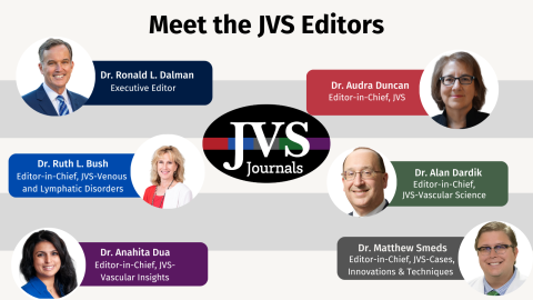 JVS Editors 2025