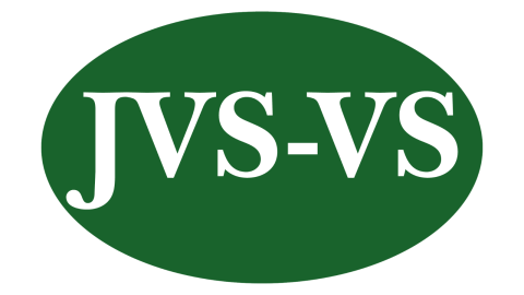 JVS-VS Logo Graphic