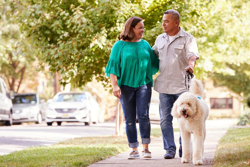 Couple walking with dog