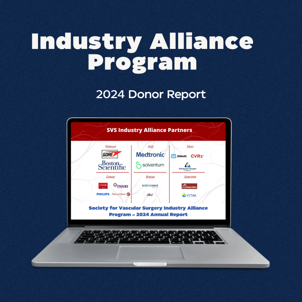 IAP Donor Report 2024