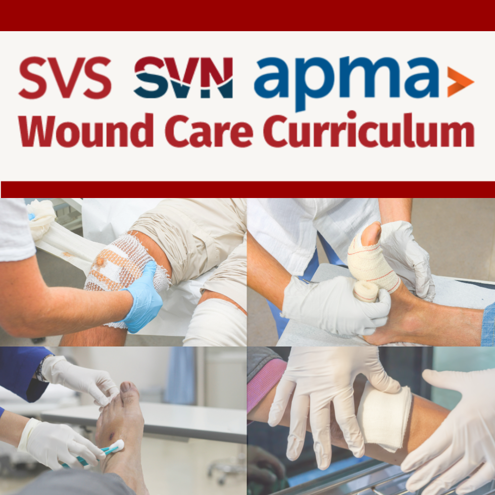 SVS SVN APMA Wound Care Curriculum