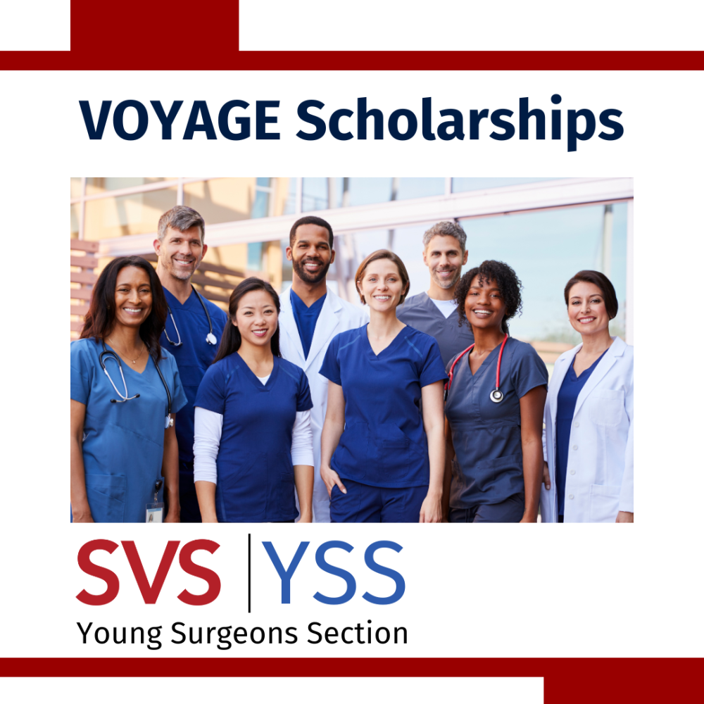 VOYAGE Scholarships YSS