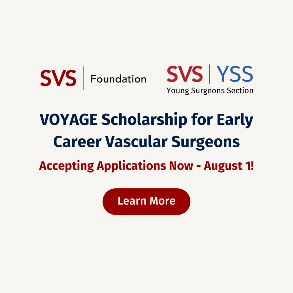 Voyage Scholarship