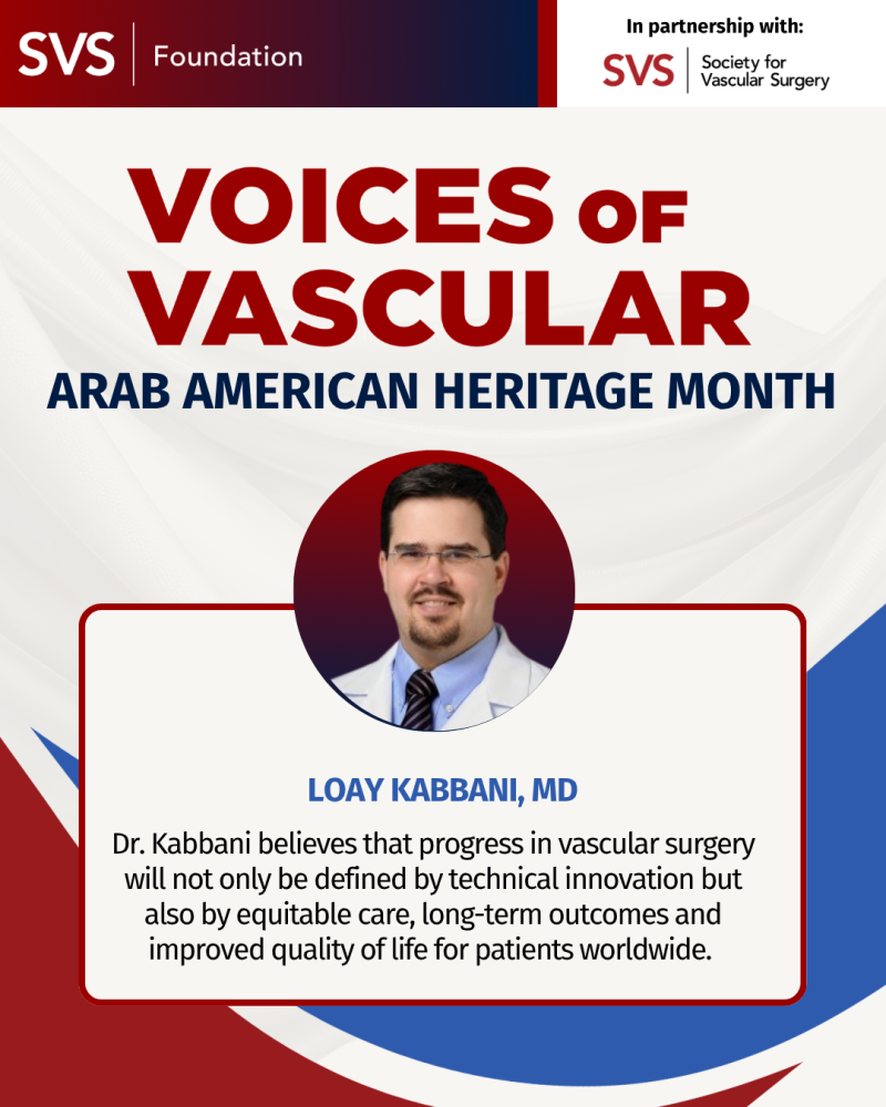 Loay Kabbani VOV Profile