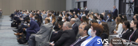 Crowd at VAM 2021