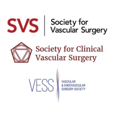 SVS, SCVS and VESS logos